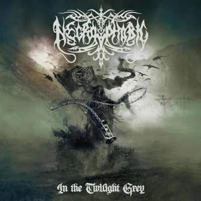 Abbildung von In the Twilight Grey