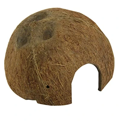 Abbildung von JBL 61510 Kokosnuss Schale als Höhle für Aquarien und Terrarien, Cocos Cava 1/2 L