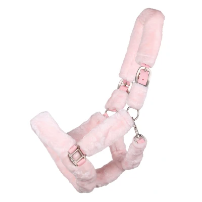 Abbildung von QHP Halter Alaska