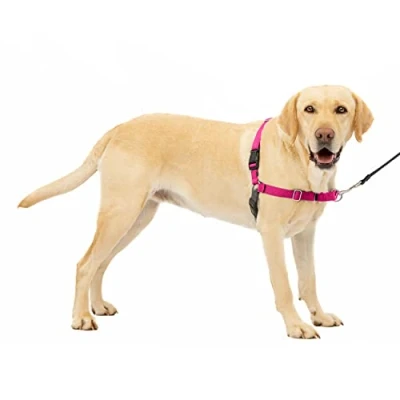 Abbildung von PetSafe Easy Walk Geschirr, Anti Zieh Hundegeschirr, Verringert Würgen und Husten, Mit 1,8 M Leine, Größe L, Rosa