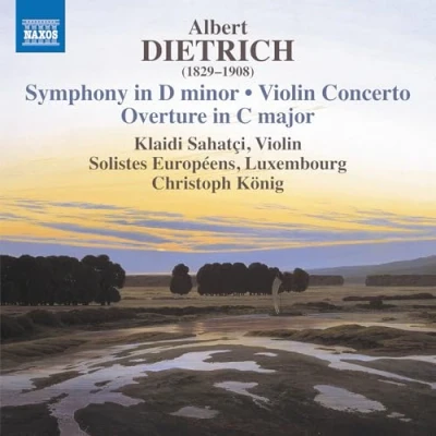 Abbildung von Symphony in d Minor / Violin Concerto