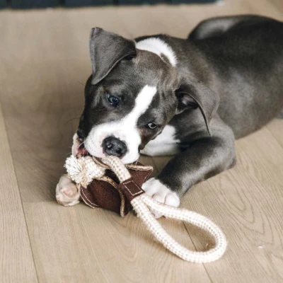 Abbildung von Kentucky Dog Toy Cotton Rope Baseball