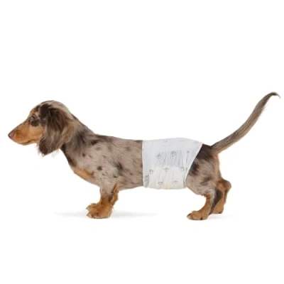 Abbildung von Amazon Basics Hundewindel für Rüden, Einwegwindeln, Größe S, Weiß, 30 Stück