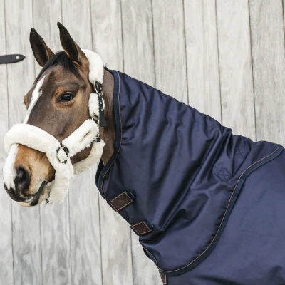 Abbildung von Kentucky Neck All Weather Waterproof Pro 0g