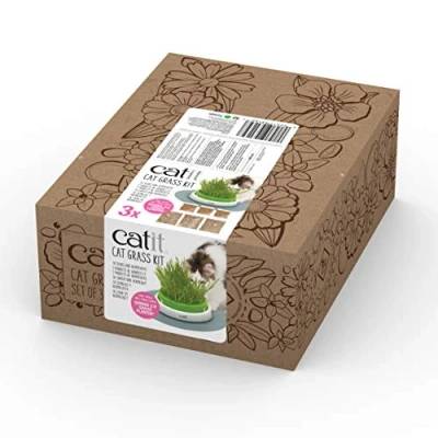 Abbildung von Catit Katzengrassamen, Katzengras, 3er Pack