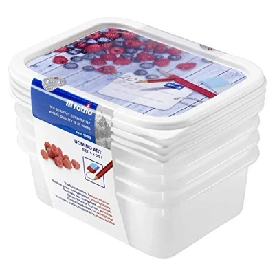 Abbildung von Rotho Domino 4er Set Gefrierdosen 0.5l mit beschreibbarem Motiv auf dem Deckel, Kunststoff (PP) BPA frei, weiss, 4 x (15.7 11.8 10.5 cm)
