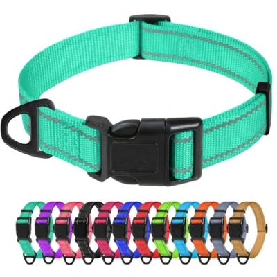 Abbildung von TagME Nylon Hundehalsband, Verstellbares Reflektierendes Hundehalsband mit Sicherheitsschnalle für Mittlere Hund, Türkis, 2.5cm Breite