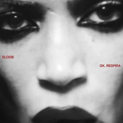Abbildung von Ok. Respira [Vinyl LP]