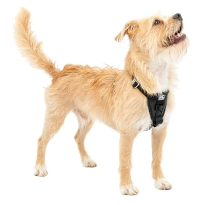 Abbildung von Kurgo Tru Fit Hundegeschirr, Crash Test erprobtes Auto Sicherheitsgurt, Für Hunde von 2 bis 5 kg, Größe S, Schwarz