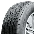 Abbildung von Riken 701 225/55 R19 99V