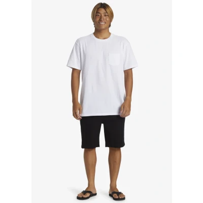 Abbildung von Quiksilver Shorts, Herren, Größe: 33, Kvj