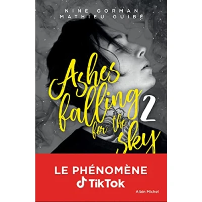 Abbildung von ashes falling for the Sky tome 2: burning down to