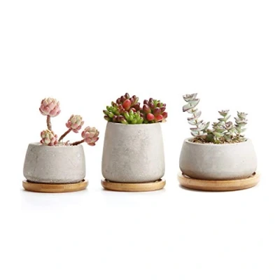 Abbildung von T4U Zement Sukkulenten Töpfchen mit Untersetzer Rund 3er Set, Beton Mini Blumentopf für Kaktus Miniaturpflanzen