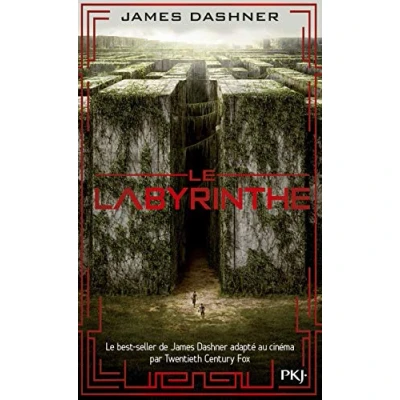 Abbildung von L&#039;épreuve tome 1 Le Labyrinthe James Dashner Taschenbuch