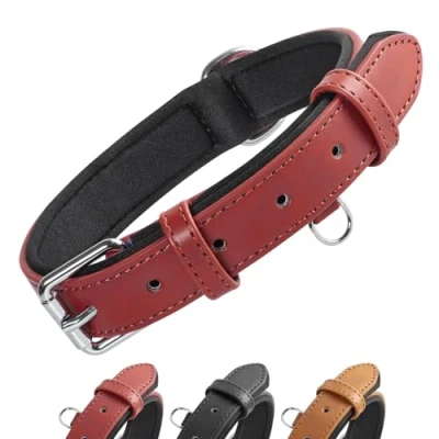 Abbildung von Grand Line Leder Hundehalsband, Lederhalsband Hund mit Weichem Gepolstertes, Breiter und Dicker Verstellbares Halsband Hunde für Kleine, Mittlere, Große (Rot, XS)
