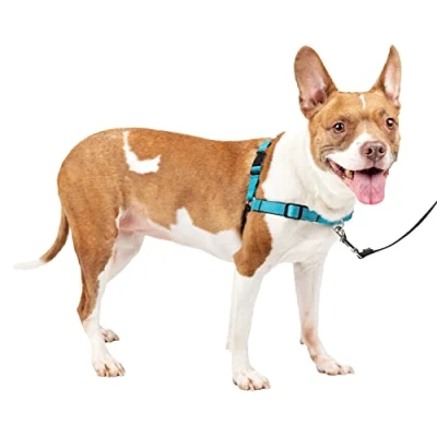 Abbildung von PetSafe Easy Walk Deluxe Geschirr, Gehgeschirr ohne Zug für Hunde, gepolstertes Design, inkl. 1,8 m Leine, mittelozeanblau/schwarz
