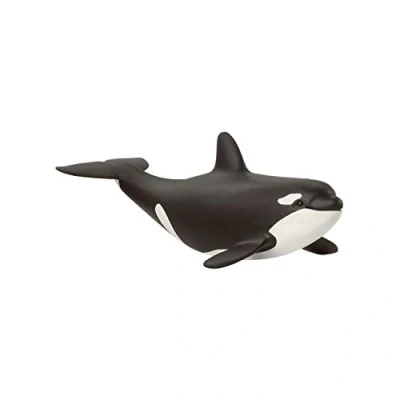 Abbildung von schleich 14836 Orka Junges, für Kinder ab 3+ Jahren, WILD LIFE Spielfigur, Black