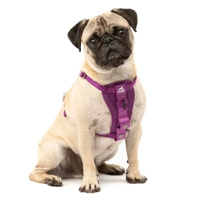 Abbildung von Kurgo TRU Fit Hundegeschirr, Crash Test erprobtes Auto Sicherheitsgurt, Für Hunde von 2 bis 5 kg, Größe S, Lila