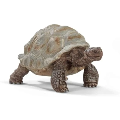 Abbildung von schleich WILD LIFE 14824 Realistische, Exotische Galapagosschildkröte Tiere Riesenschildkröte Wilde Figuren Sets für Phantasievolles Spiel Kinder Alter 3+, TU