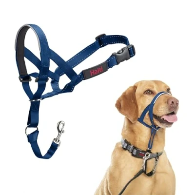 Abbildung von HALTI Kopfgeschirr Verhindert, dass Ihr Hund an der Leine zieht, Einfache Anpassung, Leicht, mit gepolstertem Nasenriemen, Anti Zug Halsband für mittelgroße Hunde (Größe 3, Kobaltblau)