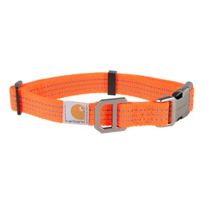 Abbildung von Carhartt Tradesman Halsband Hunter Orange