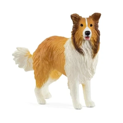 Abbildung von schleich 13998 Collie, ab 3 Jahren, FARM WORLD Spielfigur, 7 x 5 cm