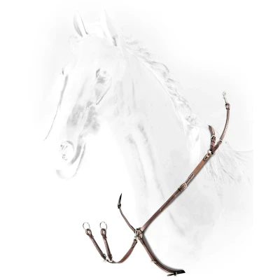 Abbildung von Equiline Borsttuig met Elastiek