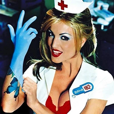 Abbildung von Enema of the State [Vinyl LP]