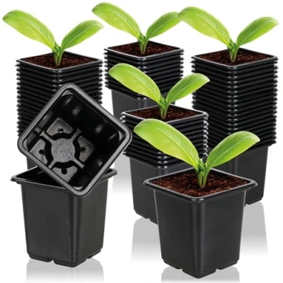 Abbildung von com four® 60x Anzuchttöpfe für Pflanzen 7,5 cm Pflanztöpfe die Anzucht Blumentopf Pflanzenzucht, Vierecktopf mit Löcher an der Unterseite (060 Stück Anzuchttopf 7.5x8cm)