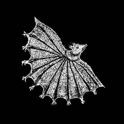 Abbildung von Ignore Grief (Silver Ghost Vinyl Lp+Dl) [Vinyl LP]