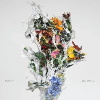 Abbildung von A Chaos of Flowers [Vinyl LP]