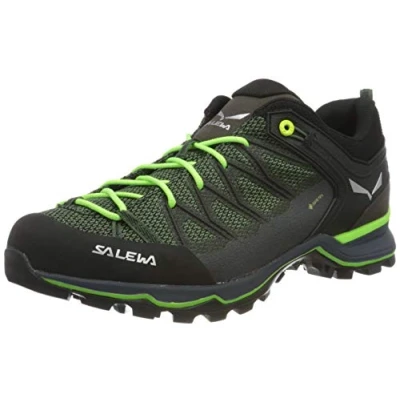 Abbildung von Salewa MTN Trainer LITE GTX Hikingschuh, Herren, Größe: 40, Myrtle/ombre blue Schuhe
