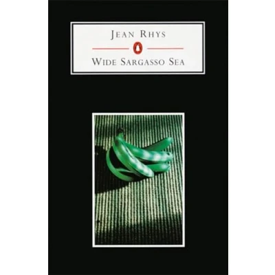 Abbildung von Wide Sargasso Sea