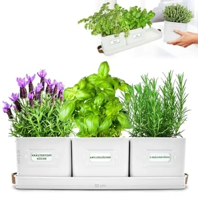 Abbildung von Green Thumbz 3 STK. Kräutertopf Kräutertöpfe für Deinen Kräutergarten und Fensterbank Innen Dekoration Basilikum Topf mit Ledergriffen &amp; Untersetzer Küchenkräuter (Warmer Stein)