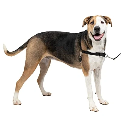 Abbildung von PetSafe Easy Walk Geschirr, Anti Zieh Hundegeschirr, Verringert Würgen und Husten, Mit 1,8 M Leine, Größe XL, Schwarz