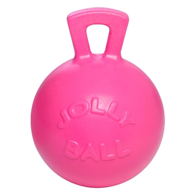 Abbildung von Jolly Ball 25cm with a tasty smell!