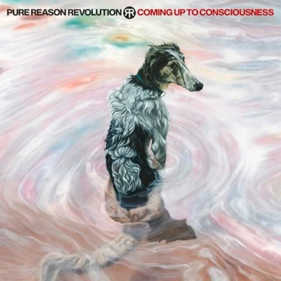 Abbildung von Coming Up to Consciousness [Vinyl LP]