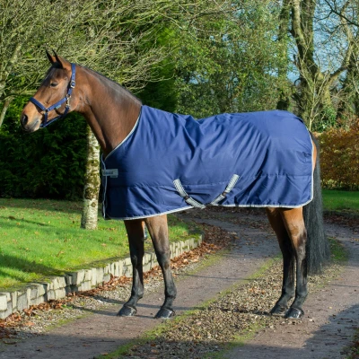 Abbildung von Bucas Freedom Stable Rug