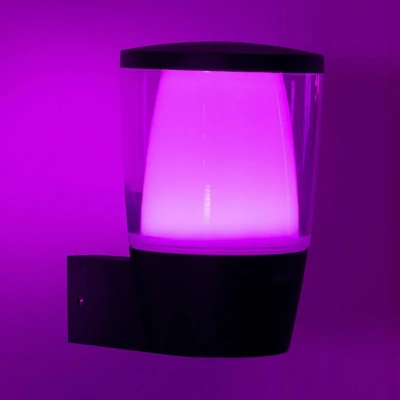 Abbildung von WiZ Tunable White and Color Elpas Outdoor Wandleuchte (650 lm), LED Leuchte mit 16 Mio. Farben oder warm bis kaltweißem dimmbarem Licht, smarte Lichtsteuerung über WLAN per Stimme/App, schwarz