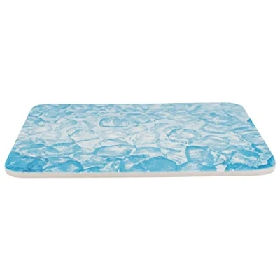 Abbildung von TRIXIE 63010 Kühlplatte, Meerschweinchen, Keramik, 28 x 20 cm, blau