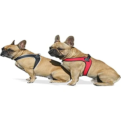 Abbildung von Tre Ponti Geschirr für Hunde / Farbe Rot Gr.2 bis ca. 5kg Brustumfang 33 37cm