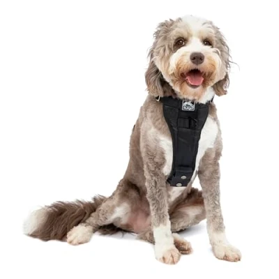 Abbildung von Kurgo TRU Fit Hundegeschirr, Crash Test erprobtes Auto Sicherheitsgurt, Für Hunde von 2 bis 5 kg, Größe L, Schwarz