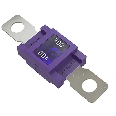 Abbildung von AUPROTEC Mega Hochstromsicherung Schraubsicherung 80A 500A Auswahl: 400A Ampere violett, 1 Stück
