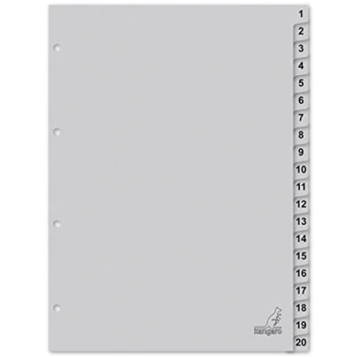 Abbildung von Kangaro Karton Register DIN A4 Zahlen 1 20. 180 g/m² recycelter Grau FSC 20 teilig