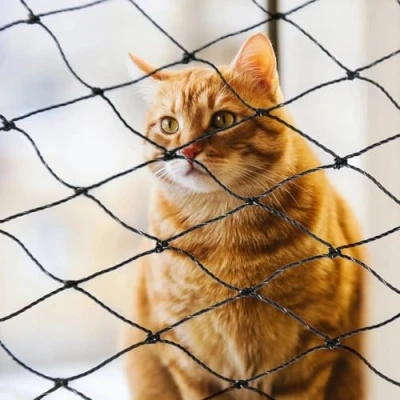 Abbildung von Parain Katzennetz für Balkon Fenster Drahtverstärkt Katzenschutznetz Robustes Katzengitter Schutznetz Balkonnetz Katzen 2x3m