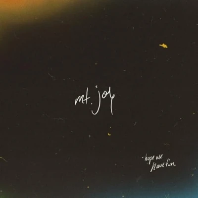 Abbildung von Hope We Have Fun (Ltd. Dark Marble Lp) [Vinyl LP]