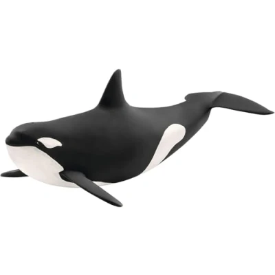 Abbildung von schleich 14807 Orka, ab 3 Jahren, WILD LIFE Spielfigur, 10 x 20 7 cm