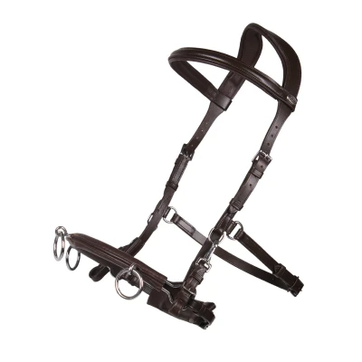 Abbildung von QHP Cavesson Leather
