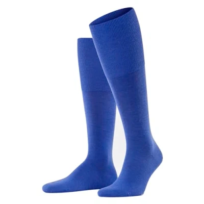Abbildung von FALKE Herren Kniestrümpfe Airport M KH Wolle Baumwolle lang einfarbig 1 Paar, Blau (Sapphire 6055), 39 40