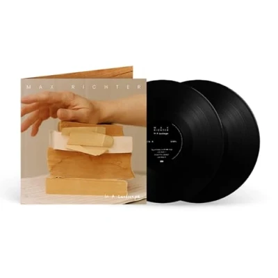 Abbildung von In a Landscape [Vinyl LP]